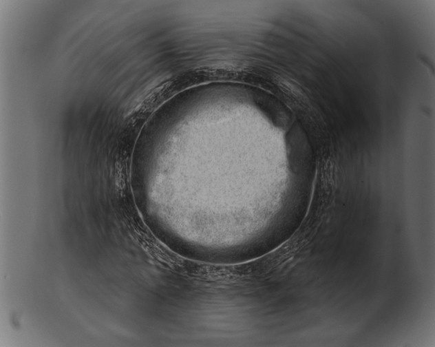 X0000103240774200809111556