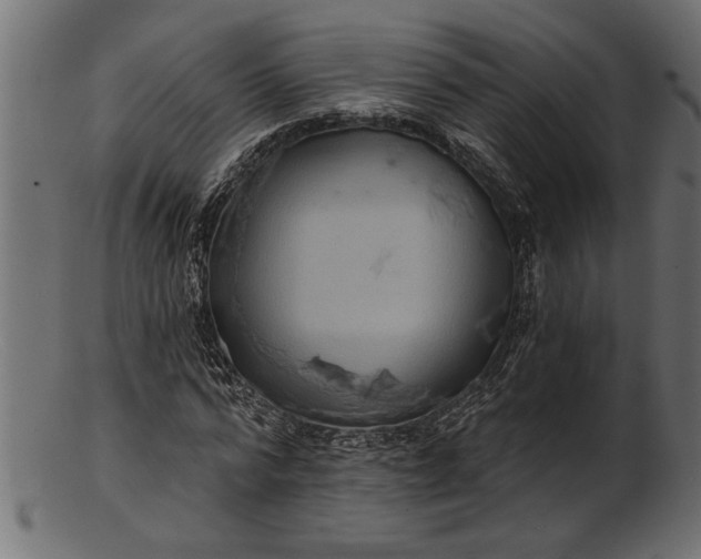 X0000103240776200809111555