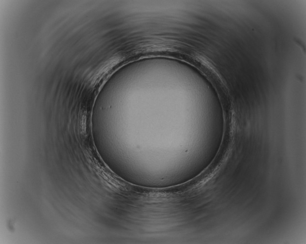 X0000103240777200809111555