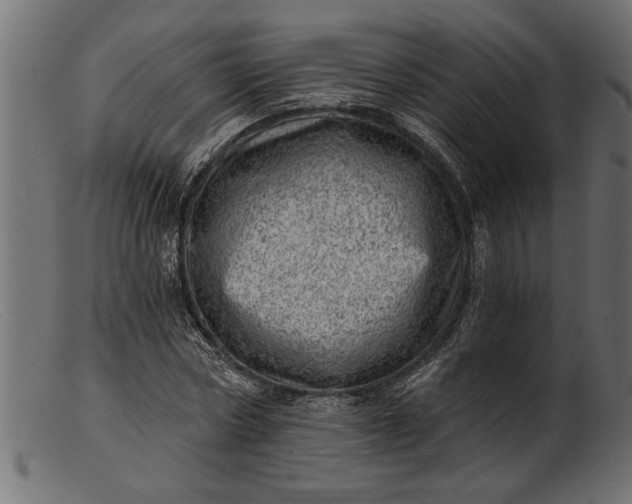 X0000103240778200809111555