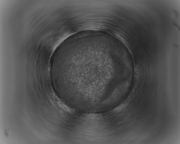 X0000103240779200809111555