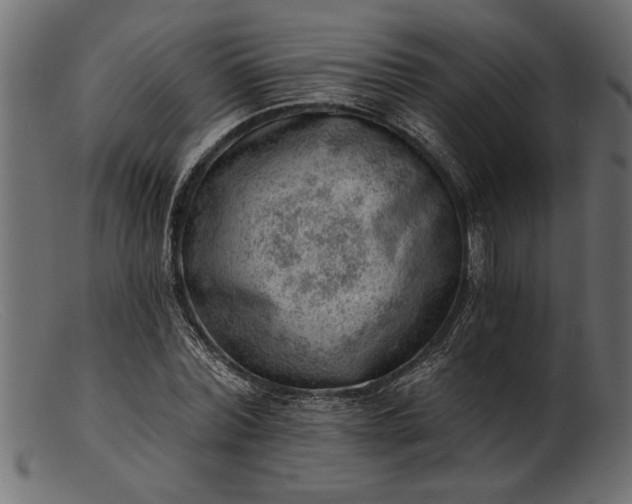 X0000103240780200809111555