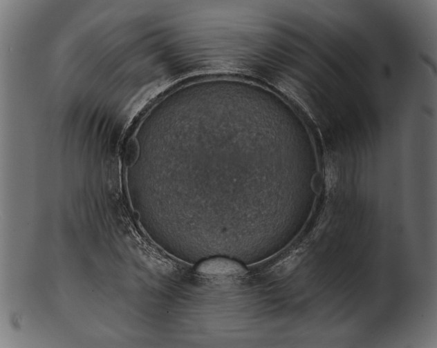 X0000103240781200809111555