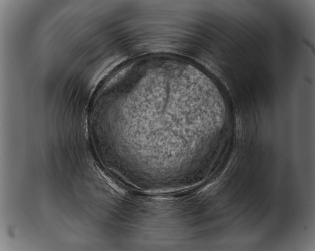 X0000103240782200809111555