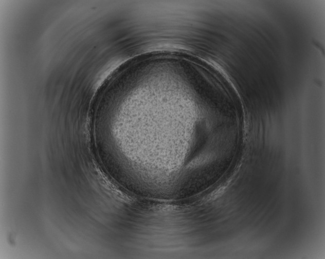 X0000103240783200809111555