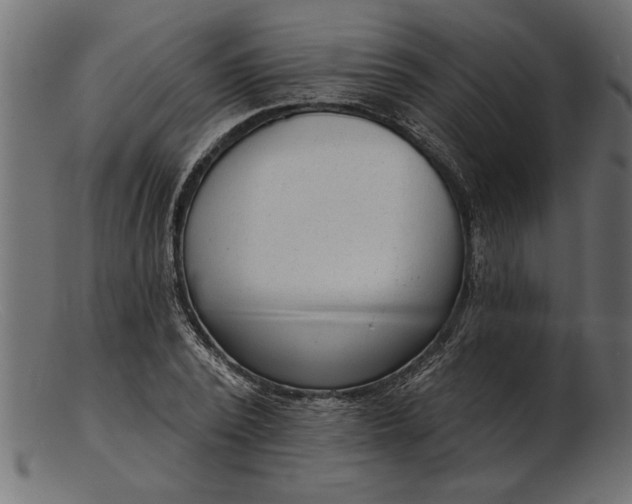 X0000103240784200809111555