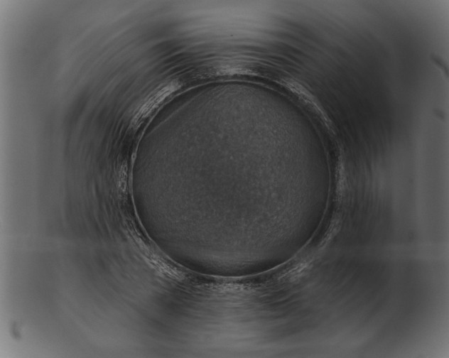 X0000103240785200809111555