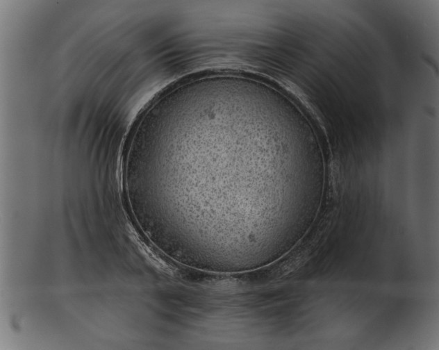 X0000103240791200809111555