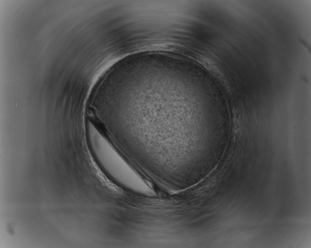 X0000103240792200809111555