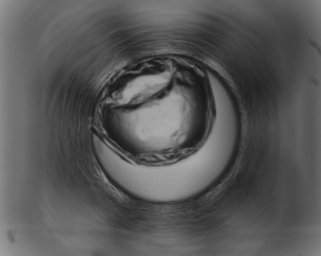 X0000103240793200809111555