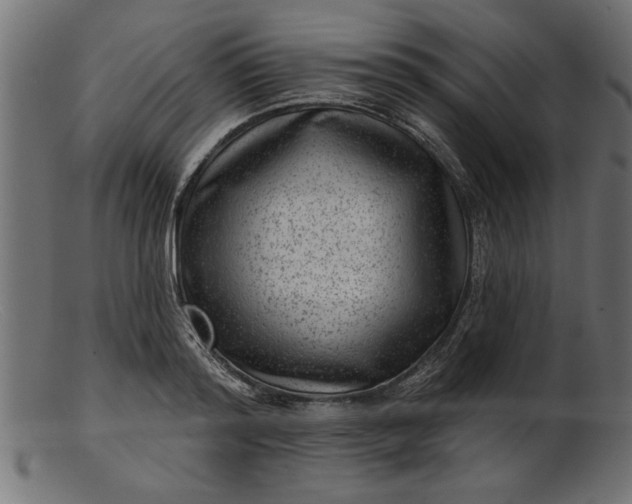 X0000103240796200809111555