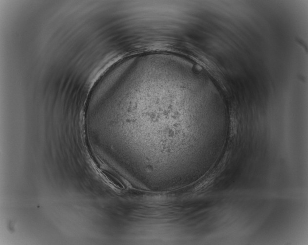 X0000103240798200809111555