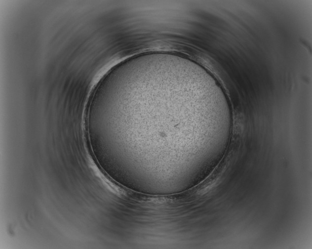 X0000103240803200809111555