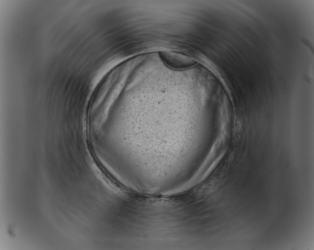 X0000103240811200809111555