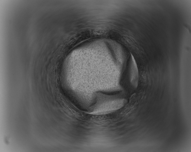 X0000103240817200809111554