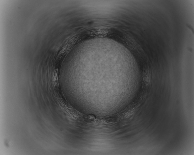 X0000103240818200809111554