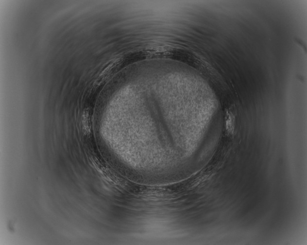 X0000103240819200809111554