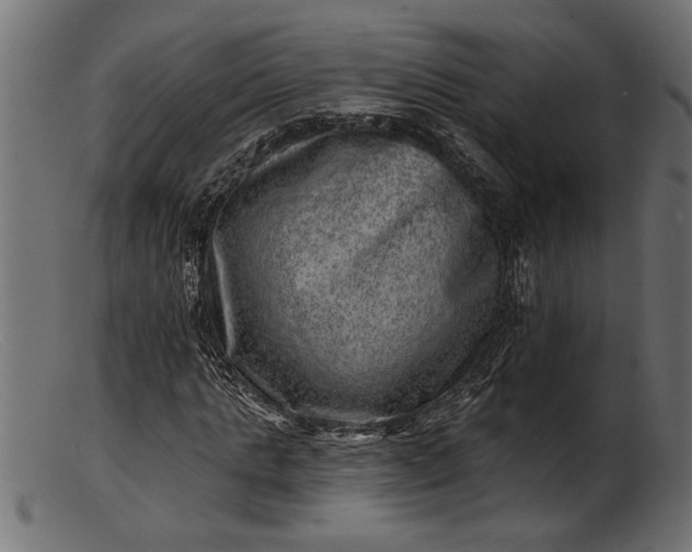 X0000103240821200809111554