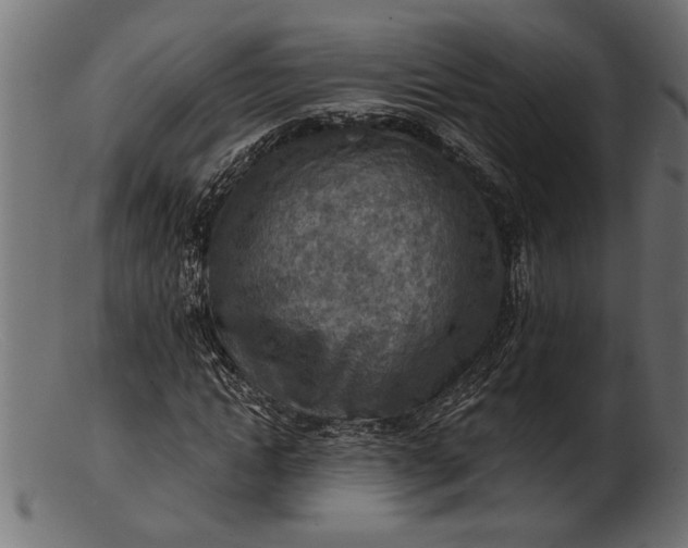 X0000103240822200809111554