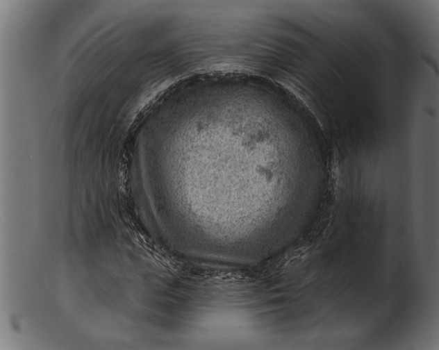 X0000103240823200809111554