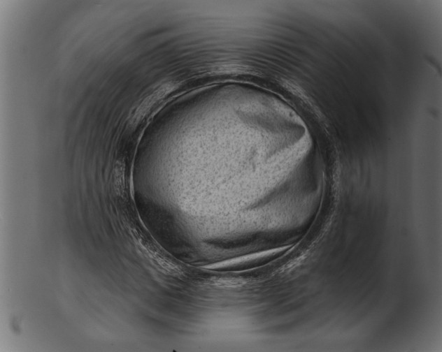 X0000103240825200809111554