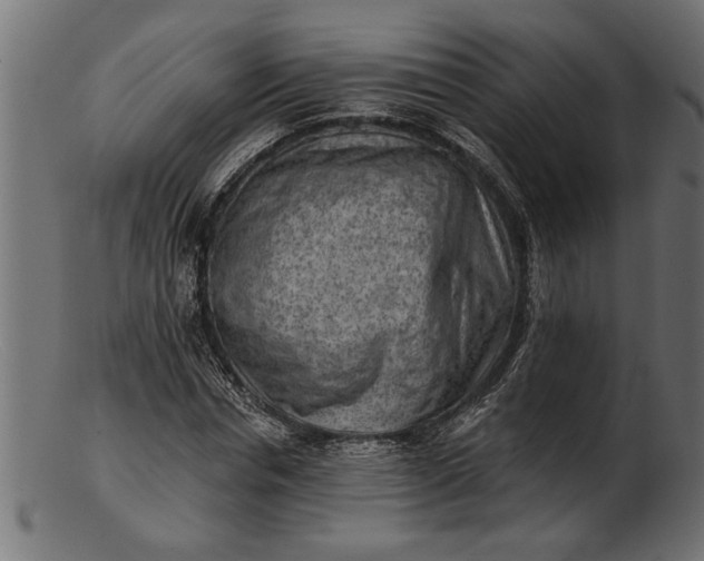 X0000103240826200809111554