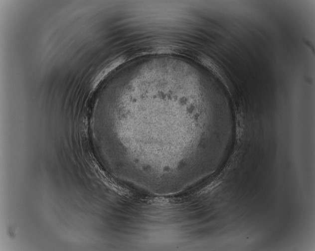 X0000103240827200809111554