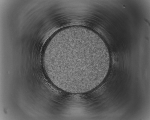 X0000103240828200809111554