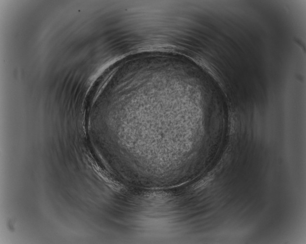 X0000103240830200809111554