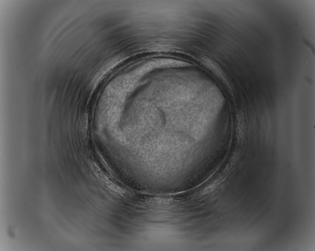 X0000103240831200809111554