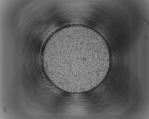 X0000103240832200809111554