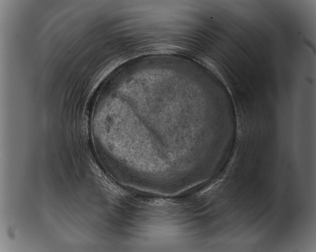 X0000103240835200809111554