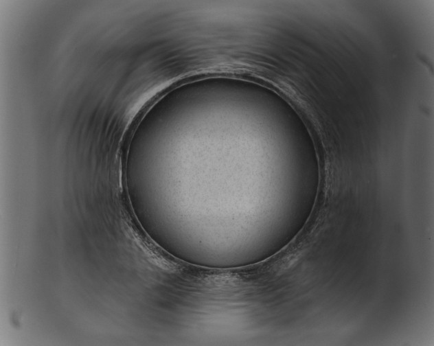 X0000103240838200809111554