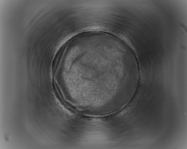 X0000103240839200809111554