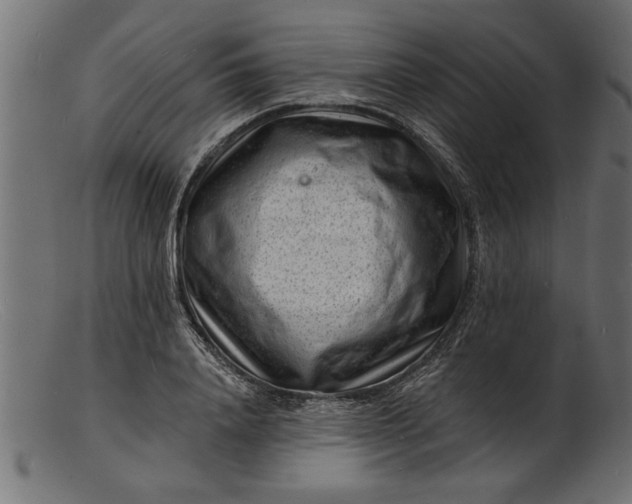 X0000103240840200809111554