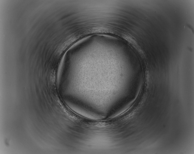 X0000103240841200809111554