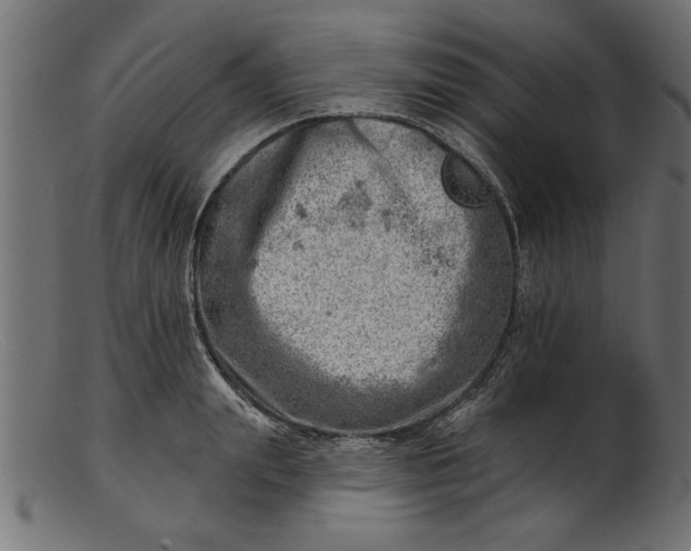 X0000103240847200809111555