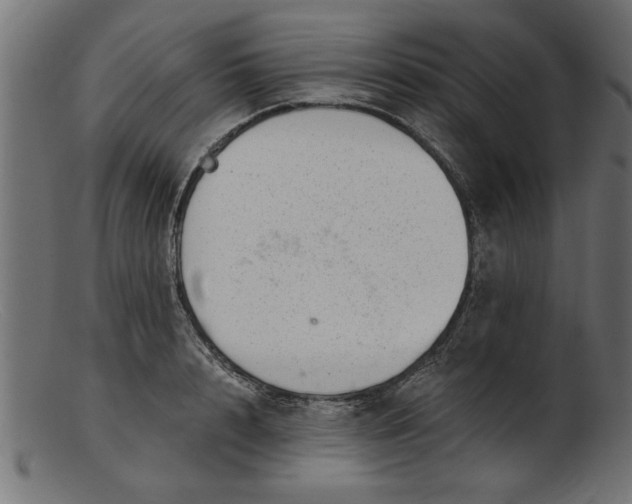 X0000103240848200809111555