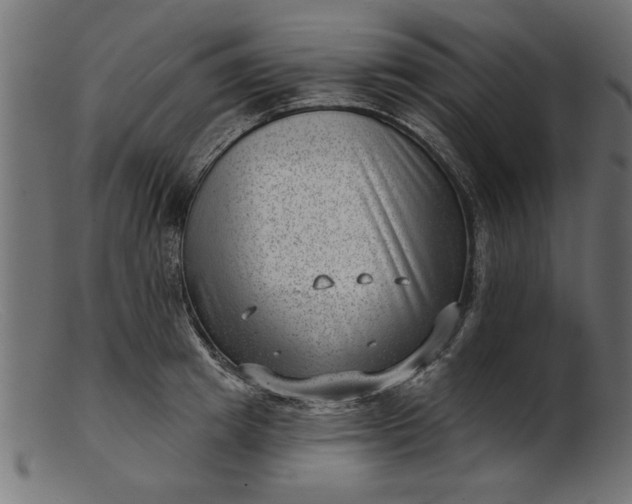 X0000103240849200809111555