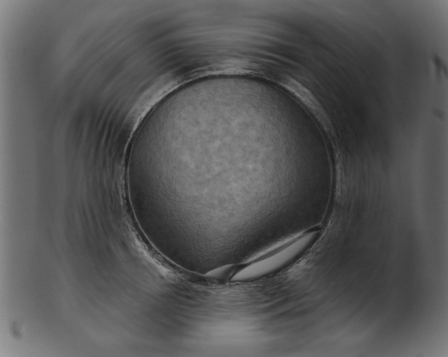 X0000103240850200809111555