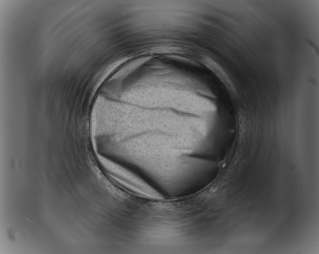 X0000103240852200809111555