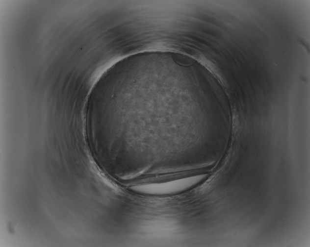 X0000103240854200809111555