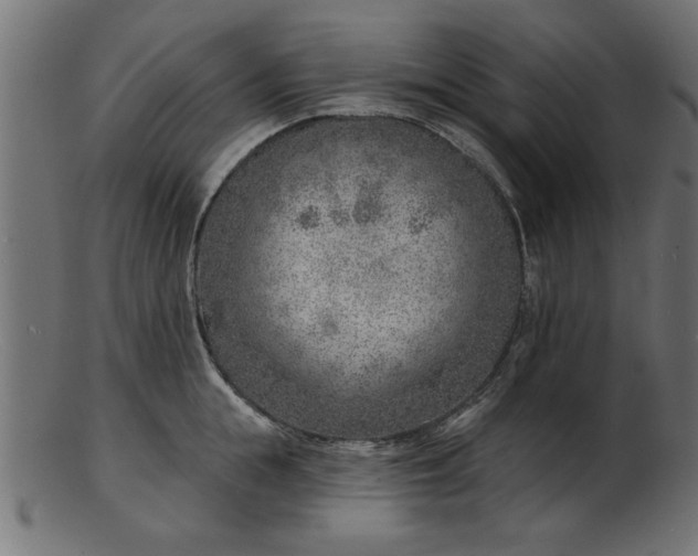 X0000103240855200809111555