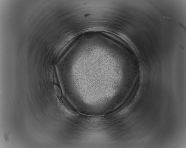 X0000103240857200809111555