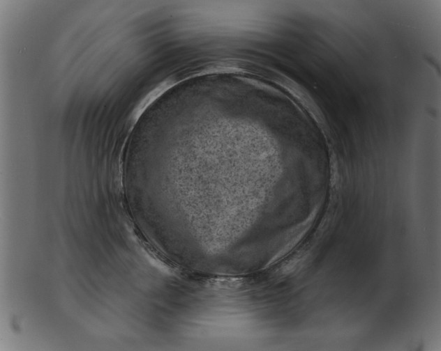 X0000103240858200809111555