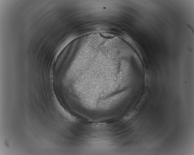 X0000103240859200809111555