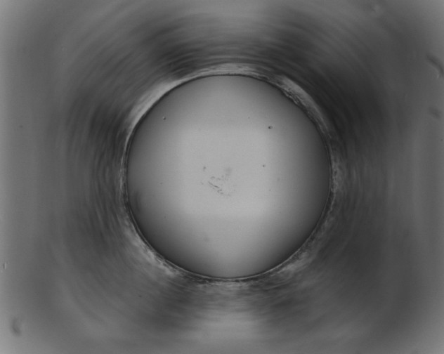 X0000103240860200809111555