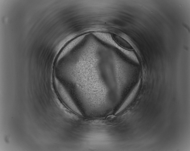 X0000103240861200809111555