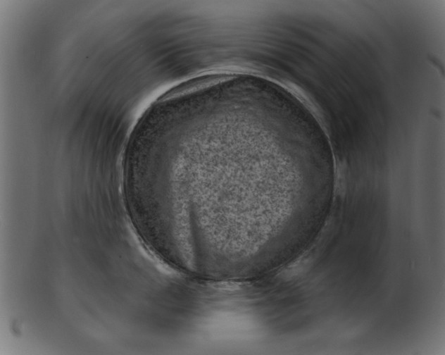 X0000103240862200809111555