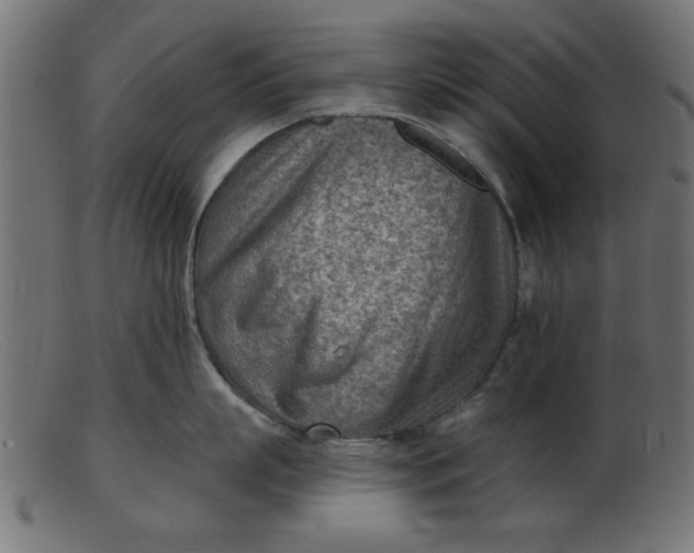 X0000103240863200809111555